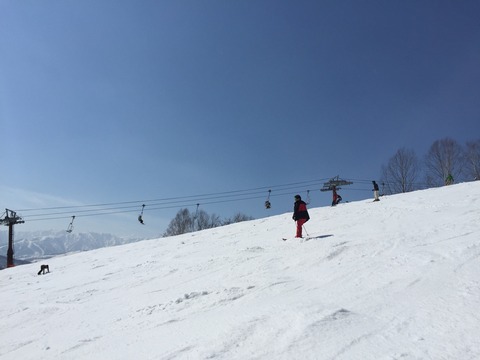 th_IMG_3853