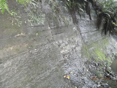 Ʊ�����Ϥ��������ߤ��˷��Фθ�����äƤ�������(��������)