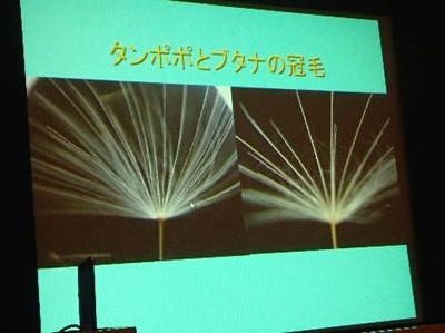 野田先生の講演スライド