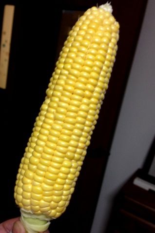 korn