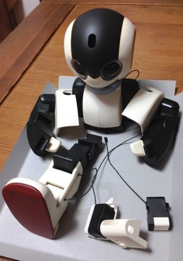 robi381