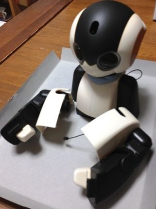 robi22__4