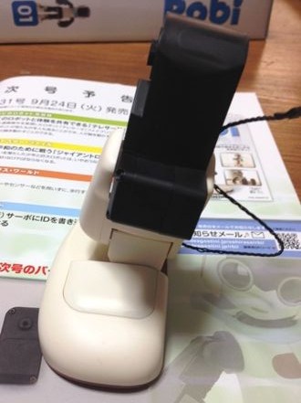 robi307