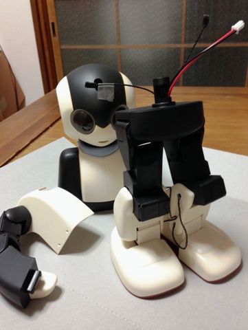 robi5205