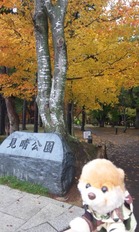 みなみ1