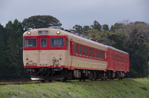 IMGP9569暗切抜