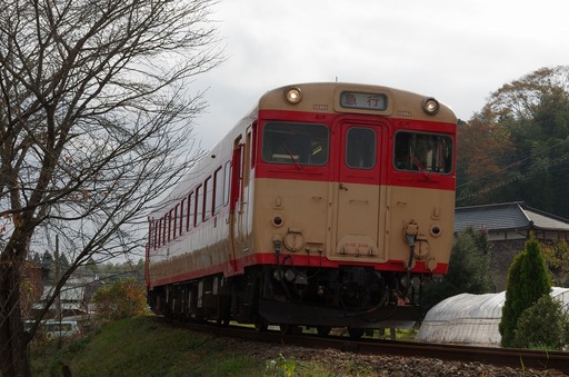 IMGP9565