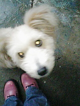 0583656d.jpg