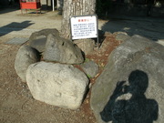 GEDC0719
