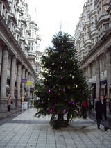 クリスマスツリー