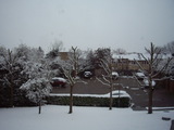 snow1