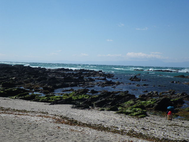 º´Å磲