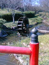 40f45a7c.jpg