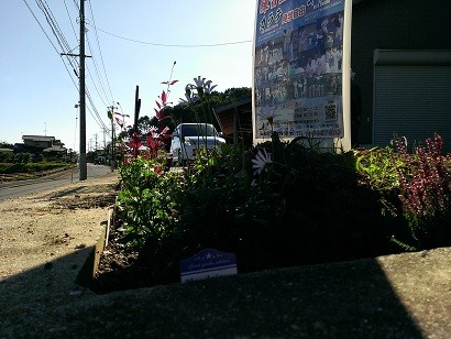 2015-10-25 013