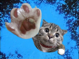 デえァ