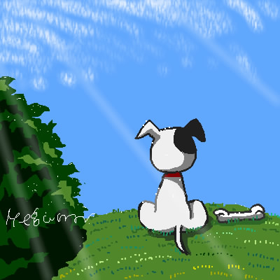 犬さん何見てるの