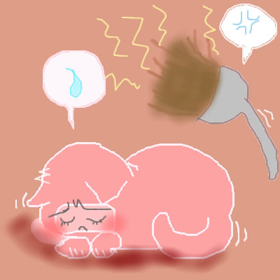 丸くなる猫