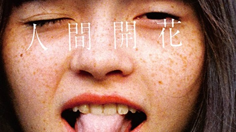 歌詞和訳 daakoodaa Radwimps ああだ こうだ ラッドウィンプス Radwimps ラッドウィンプス 歌詞和訳ブログ