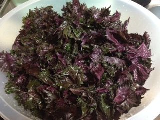 umebosi7-20