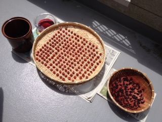 umebosi7-21-3
