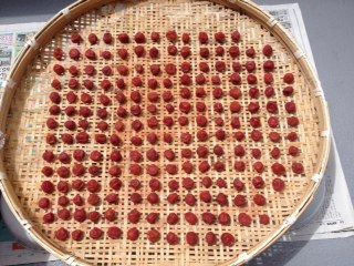 umebosi7-21