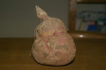 DSC02777