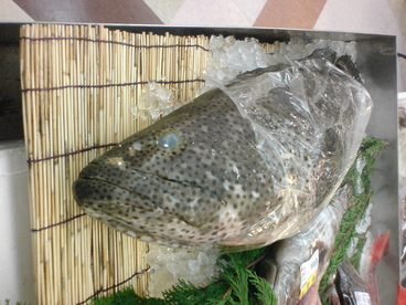 DSC00070