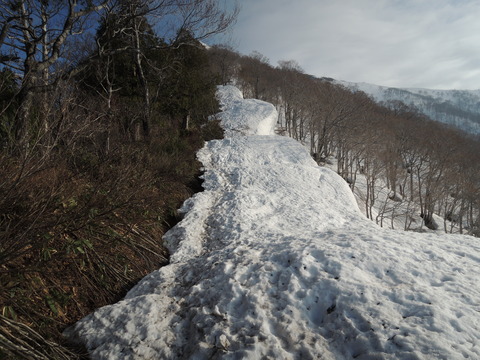 DSCN2468