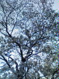 028e7a0b.jpg