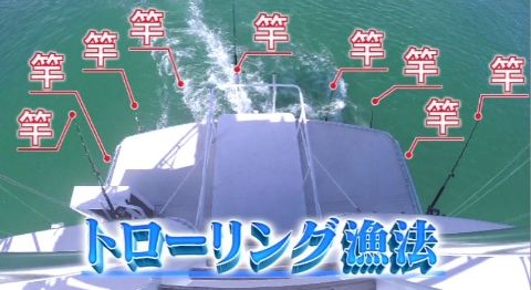oonoshiyagarehawai_002