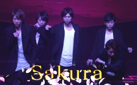 sakura_shiyagae_000_00
