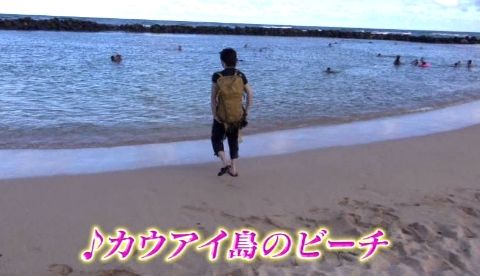 sakuraiHAWAI13_1