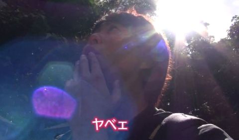 sakuraiHAWAI09