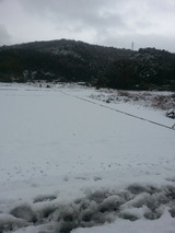 20140214_143643