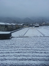 20140208_072855
