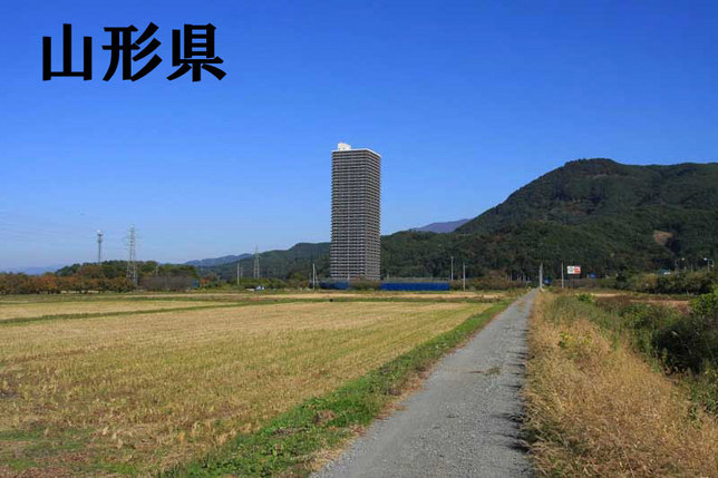 vlomoshiro004917