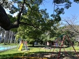 IMG_20180831_093236