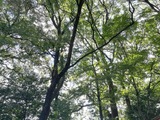 IMG_20180829_093304