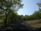 IMG_20180413_090205