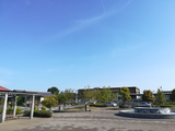 IMG_20180413_083647