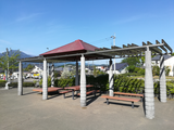 IMG_20180413_083552