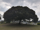 IMG_20180411_091728