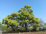 IMG_20180410_083433