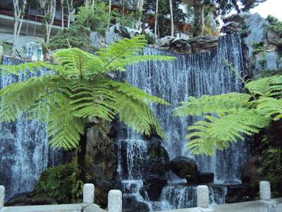 DSC01035