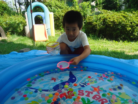 DSC00316