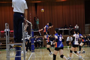 Image_62e3ddd