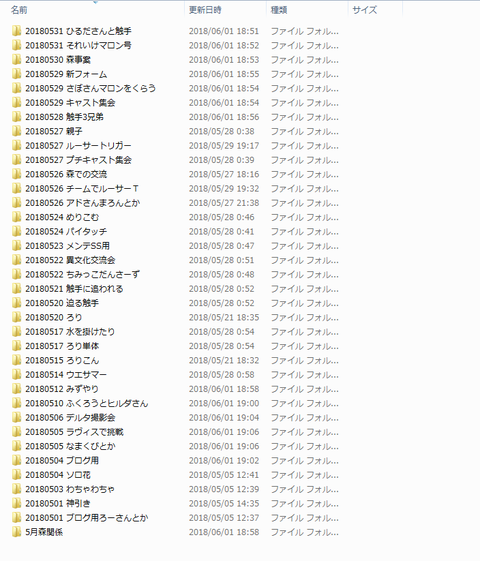 整理したフォルダ2
