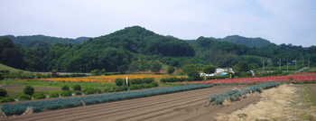 P1010480