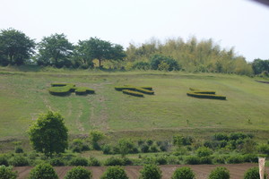 P1010478