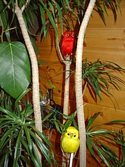 DSC04982